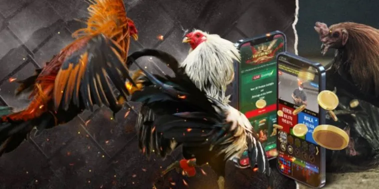 Cách Chơi Đá Gà GA28 99OK Hiệu Quả Và Mẹo Dự Đoán Chuẩn Xác